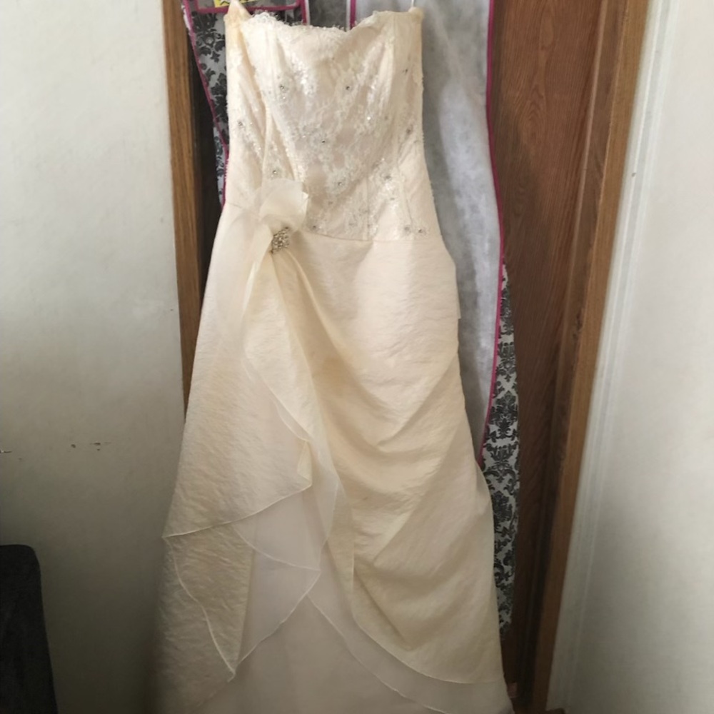 Elegant Cream Strapless Gown